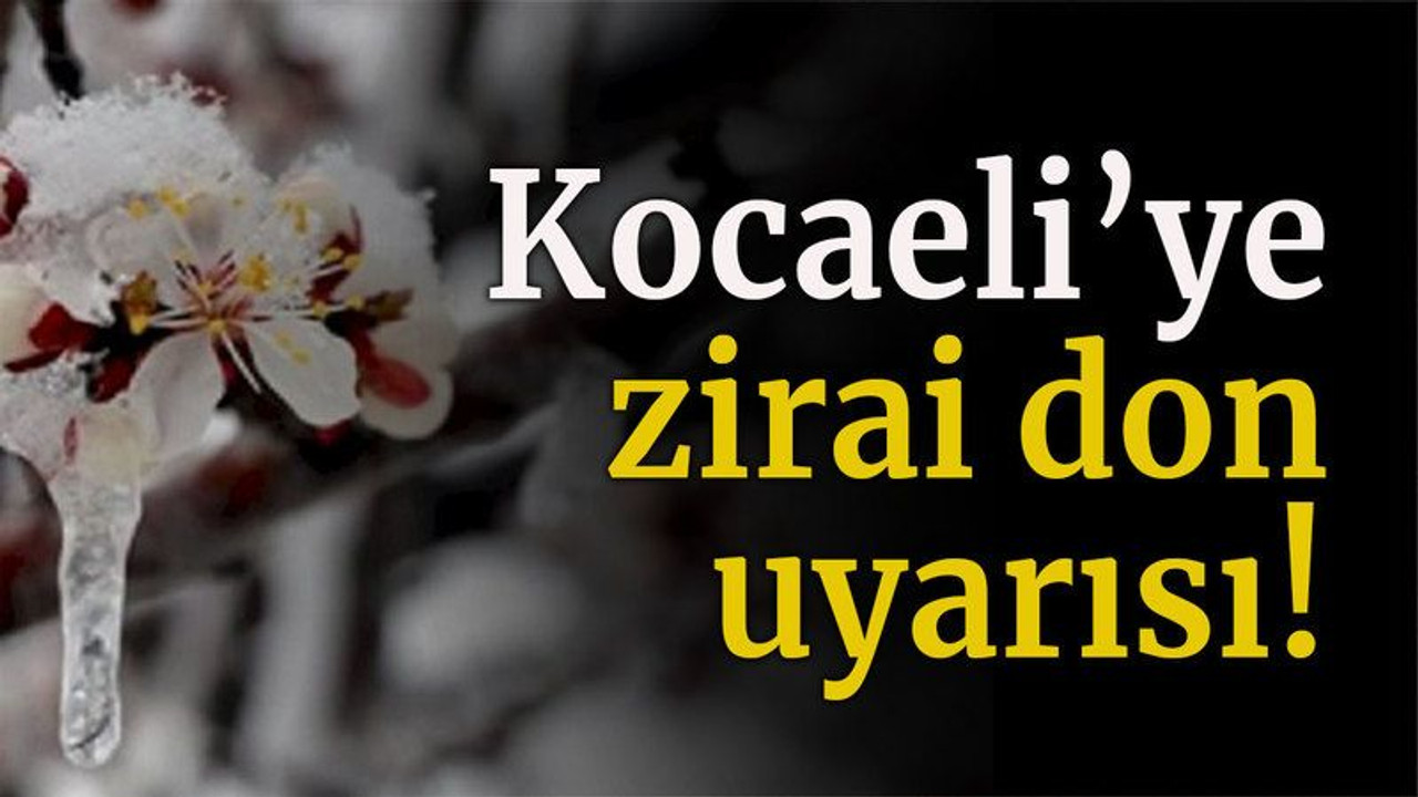Kocaeli’ye zirai don uyarısı!